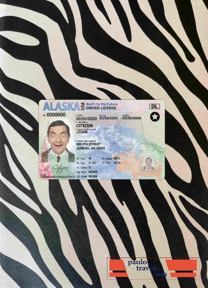 USA Alaska DL photolook FRONT PSD template